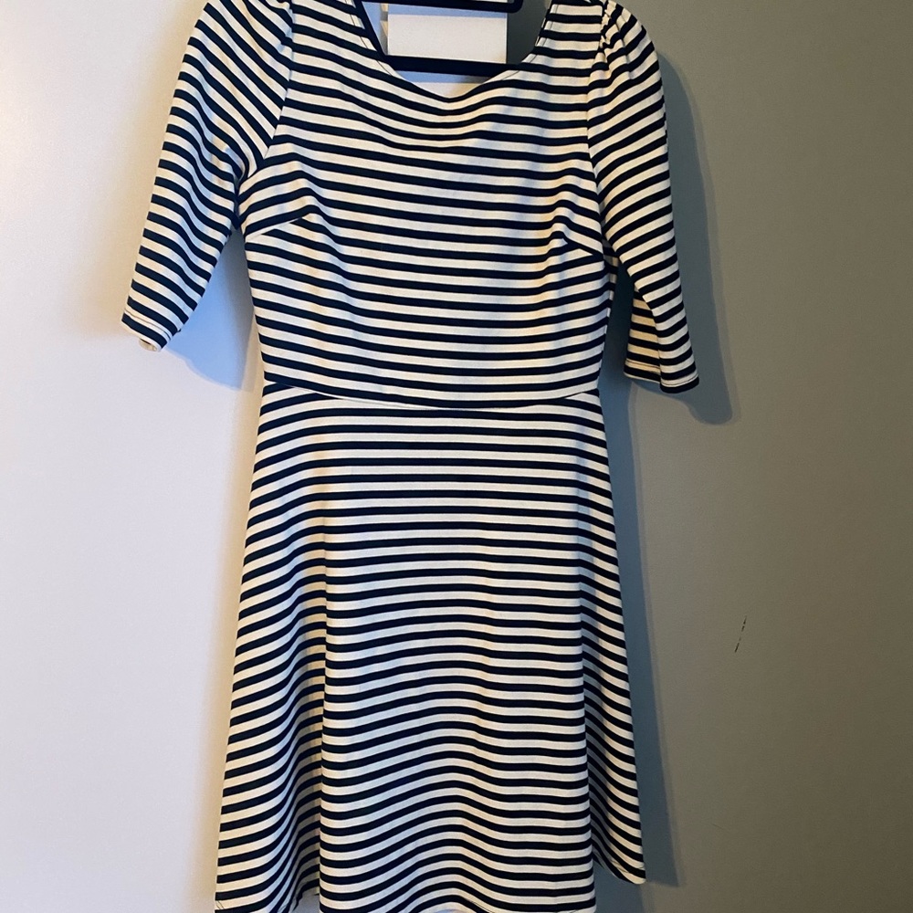 Pixley fit and flare dress